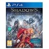 Image de Shadows Awakening PS4