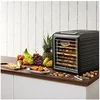 Image de Déshydrateur alimentaire Fruit Jerky Plus 9 - Minuterie 9 étagères 600-700 W 35-70 °C
