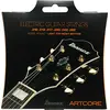 Image de Ibanez IEGS62 Cordes pour Guitare Electrique en occasion ou reconditionné