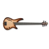 Image de SRH505F-NNF - Natural Browned Burst Flat - Basse électrique 5 cordes Fretless