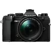 Image de OM-5 noir + ED 14-150mm f/4-5.6 II MSC