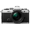 Image de OM-3 12-45 KIT SILVER