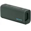 Image de portable Bluetooth ULT Field 3 Gris Forêt
