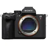 Image de Alpha 7R VI