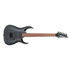 Image de RGA42FM-TGF - Guitare électrique - Transparent gray flat