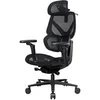 Image de Fauteuil ergonomique Flex Pro Mesh (Noir)