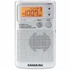 Image de -DT-250 - Radio portable - argent