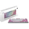 Image de MSI FORGE GK600 TKL - Sans Fil - Violet