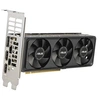 Image de - OC Edition - carte graphique - GeForce RTX 5060 - 8 Go GDDR7 - PCI Express 5.0 profil bas - 2 x HDMI, DisplayPort - multicolore