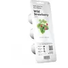 Image de EMSA PACK 3 CAPSULES FRAISES SAUVAGES