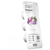 Image de CLICK&GROW PACK 3 CAPSULES PETUNIA