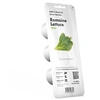 Image de CLICK&GROW PACK 3 CAPSULES LAITUE VERTE