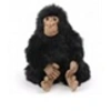 Image de Chimpanze bebe 25 cm -