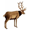Image de Peluche Geante Cerf 120 cm H et 100 cm L