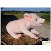 Image de Pig No.4944