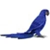 Image de Peluche Ara Hyacinthe - 32 cm