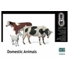 Image de Domestic Animals - 1:35e - Master Box Ltd.