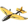 Image de Avion  Radiocommande Hornet Evo