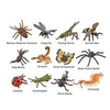 Image de Collecta set de jeu mini insectes junior 7-11 cm ABS