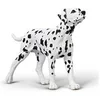 Image de Figurine Collecta Chiens (M) : Dalmatien