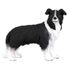Image de Chien Border Collie Figurines Collecta
