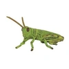 Image de Figurine Insecte : Sauterelle
