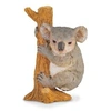 Image de Koala grimpant