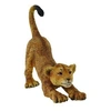 Image de Lionceau