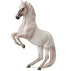 Image de Figurine Cheval Lipizzan : Etalon