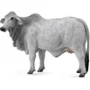 Image de Figurine : Animaux de la ferme : Vache Brahmane Figurines Collecta