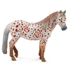 Image de Horses (XL): JUMENT PONEY DE SELLE ANGLAISE LOPARD MARRON