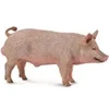 Image de Figurine Cochon