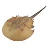 Image de jouer animal préhistorique crabe en fer à cheval 15 cm ABS marron