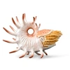 Image de Figurine Préhistoire (XL) : Cooperoceras