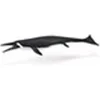 Image de Figurine Préhistoire : Shastasaurus