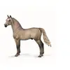 Image de Figurine Chevaux : Etalon Morgan