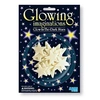 Image de 4m phospho pack 16 etoiles 3 tailles