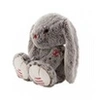 Image de Lapin gris prestige