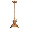 Image de Westinghouse Lighting 63084 Luminaire suspendu d'intérieur Boswell à une lampe, finition cuivre lavé avec verre prismatique en occasion ou reconditionné