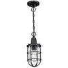 Image de Westinghouse Lighting 6334840 Luminaire suspendu d'extérieur Crestview à une lampe, finition en noir texturé avec verre granuleux clair en occasion ou reconditionné