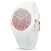 Image de Montre Mixte ICE WATCH IC.013427