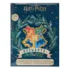 Image de - Calendrier de l'avent deluxe 2022 - Harry Potter