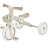 Image de Porteur 2 en 1 plus évolutif Globber Learning Bike Beige TU VEGB0000737-466
