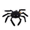 Image de Peluche Ptipotos - araignee noire