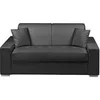 Image de Canapé 2 places convertible express en simili - Noir - Couchage 120 cm - Matelas 18 cm EMIR