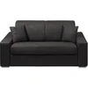 Image de Canapé 2 places convertible express en tissu - Anthracite - Couchage 120 cm - Matelas 14 cm EMIR