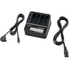 Image de Chargeur AC-VQV10