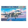 Image de Grumman F-14D Tomcat