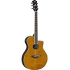 Image de APX600FM Amber - Guitare Folk électroacoustique