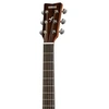 Image de FG800M Matte guitare folk